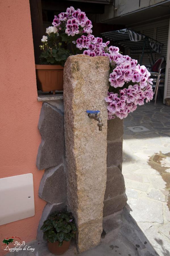L'Agrifoglio Di Emy Bed & Breakfast Guspini Exterior photo